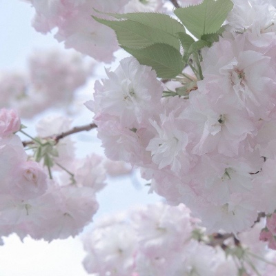 东宁福瑞交流群